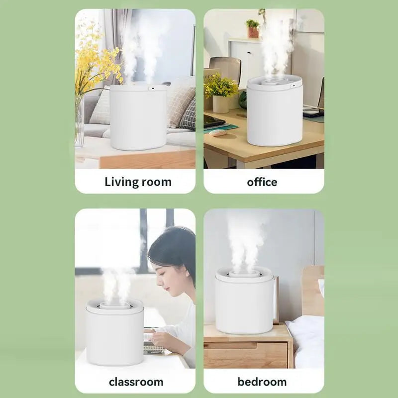 Plant Humidifier Indoor 6L Aromatherapy Diffuser